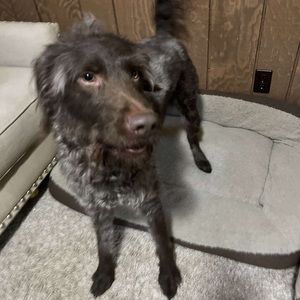 Meet your Posher, Kyleigh